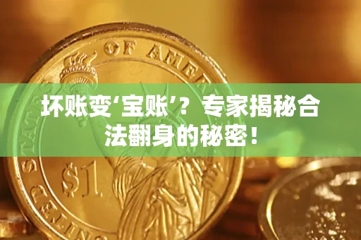 济南坏账变‘宝账’？专家揭秘合法翻身的秘密！
