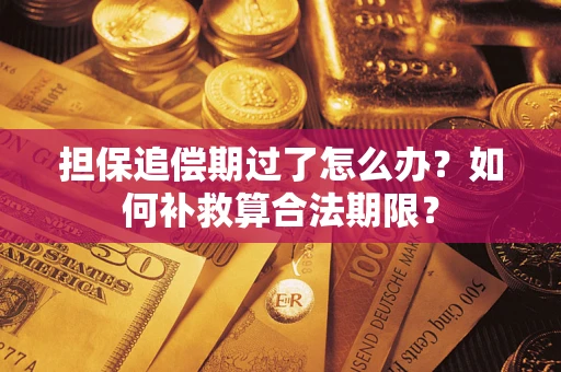 济南担保追偿期过了怎么办？如何补救算合法期限？