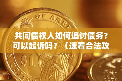 济南共同债权人如何追讨债务？可以起诉吗？（速看合法攻略）